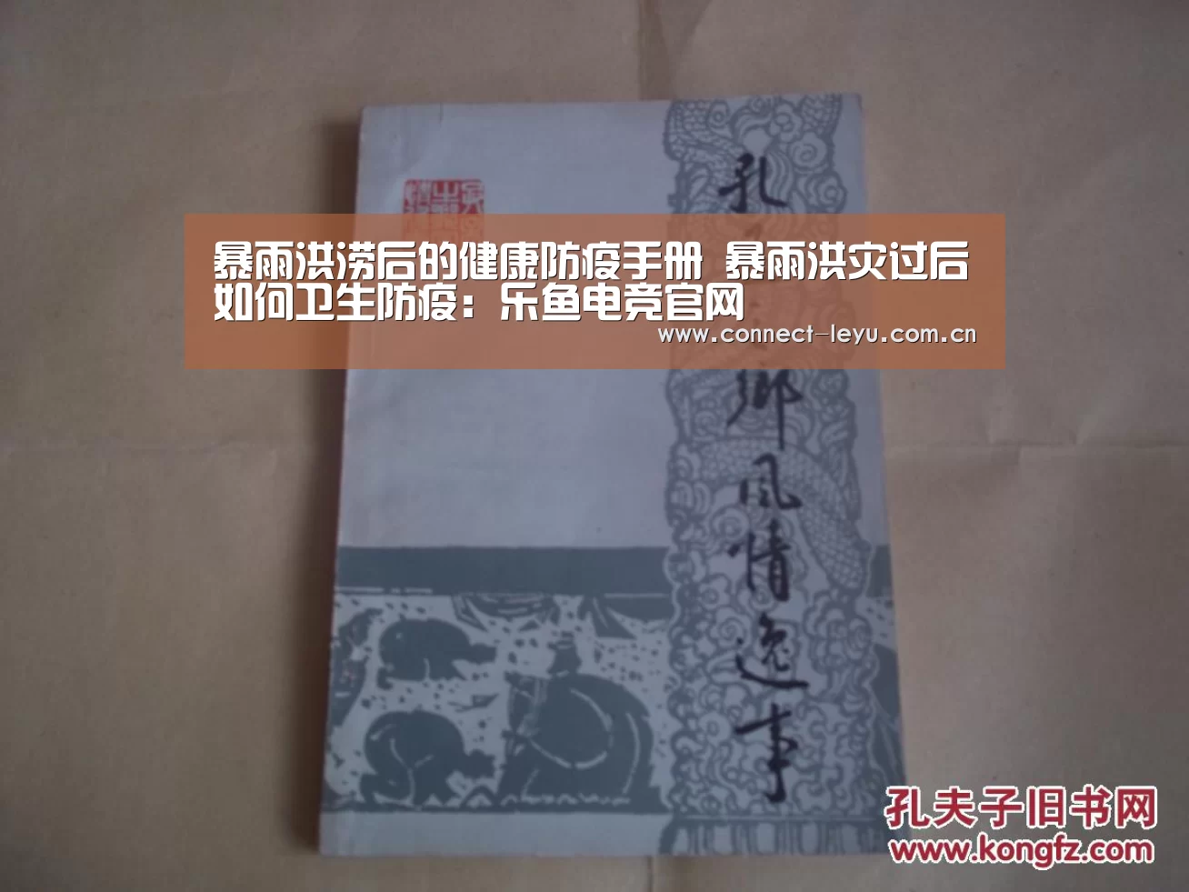 乐鱼电竞平台