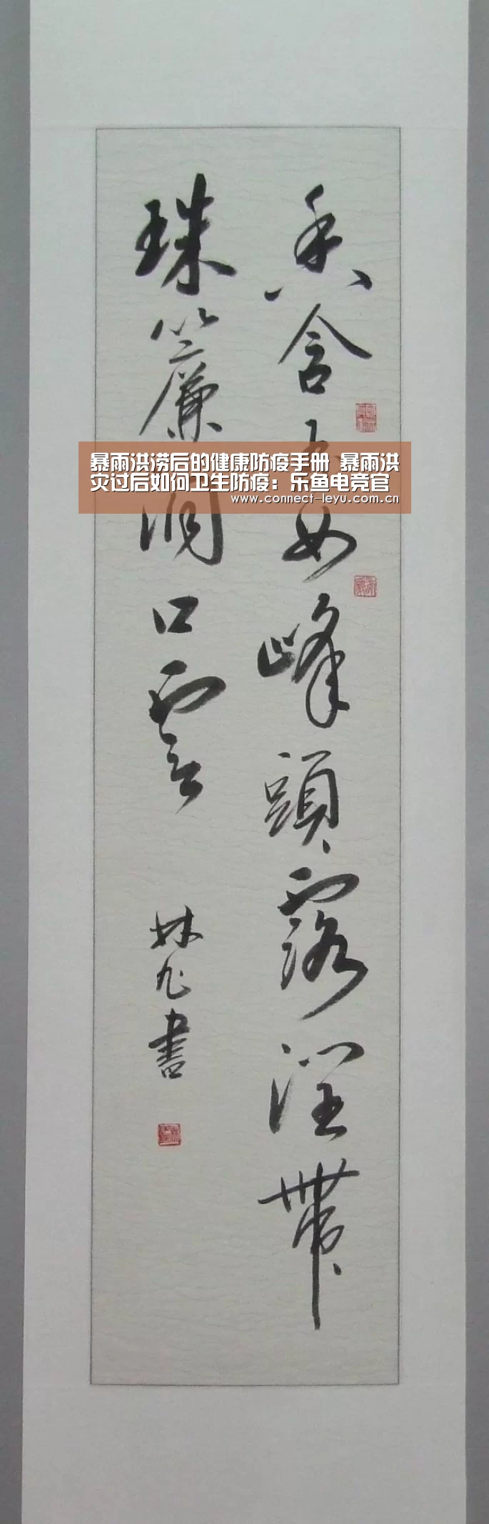 乐鱼电竞leyu