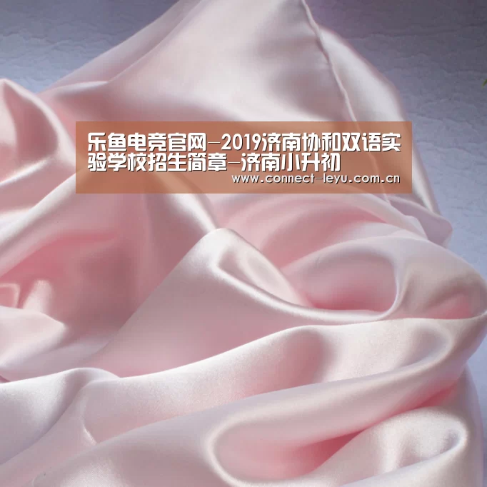 乐鱼电竞leyu