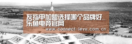 灰指甲加盟选择哪个品牌好_乐鱼电竞官网(图3) 乐鱼电竞平台